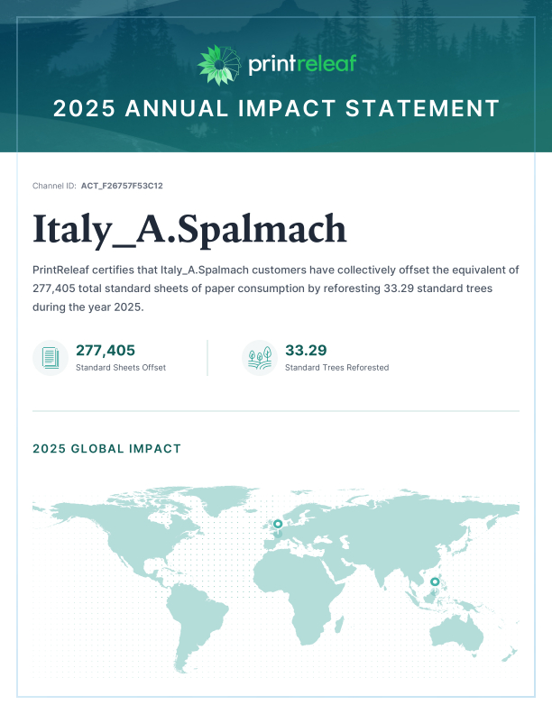 2025 Annual Impact Statement